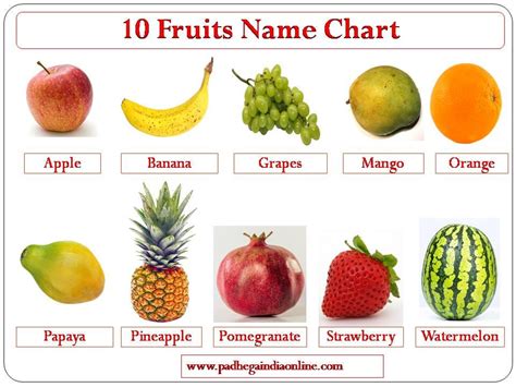Fruits That Start with X (Complete List of 10+ Fruit Names).